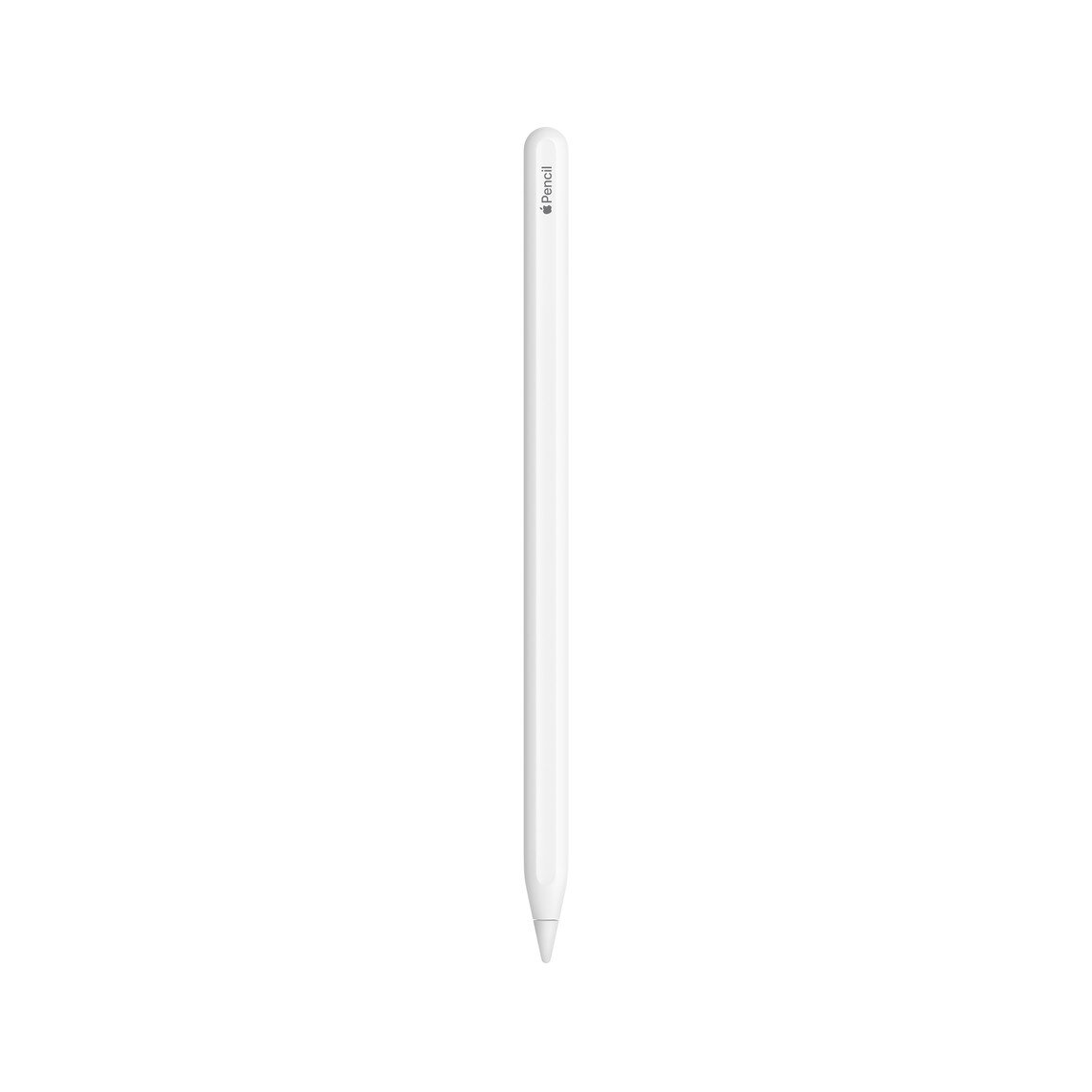 עט אפל APPLE PENCIL 2ND GENERATION יבואן רישמי