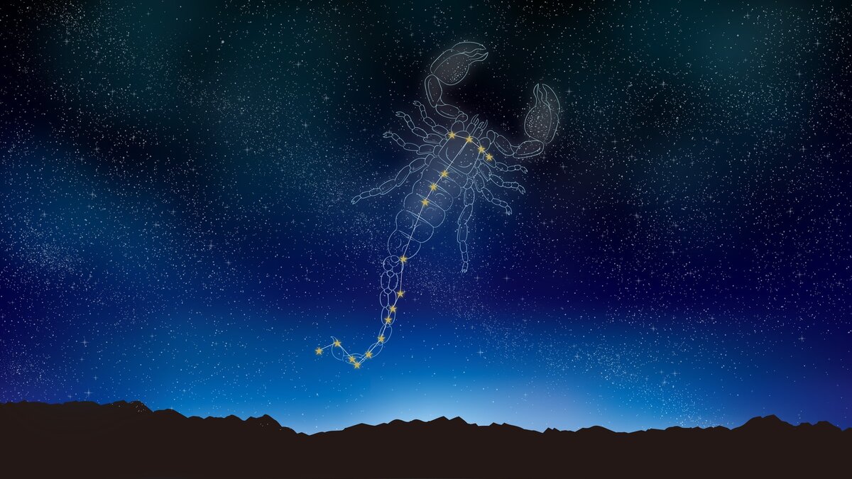 כיסא SCORPIUS LIFE כחול